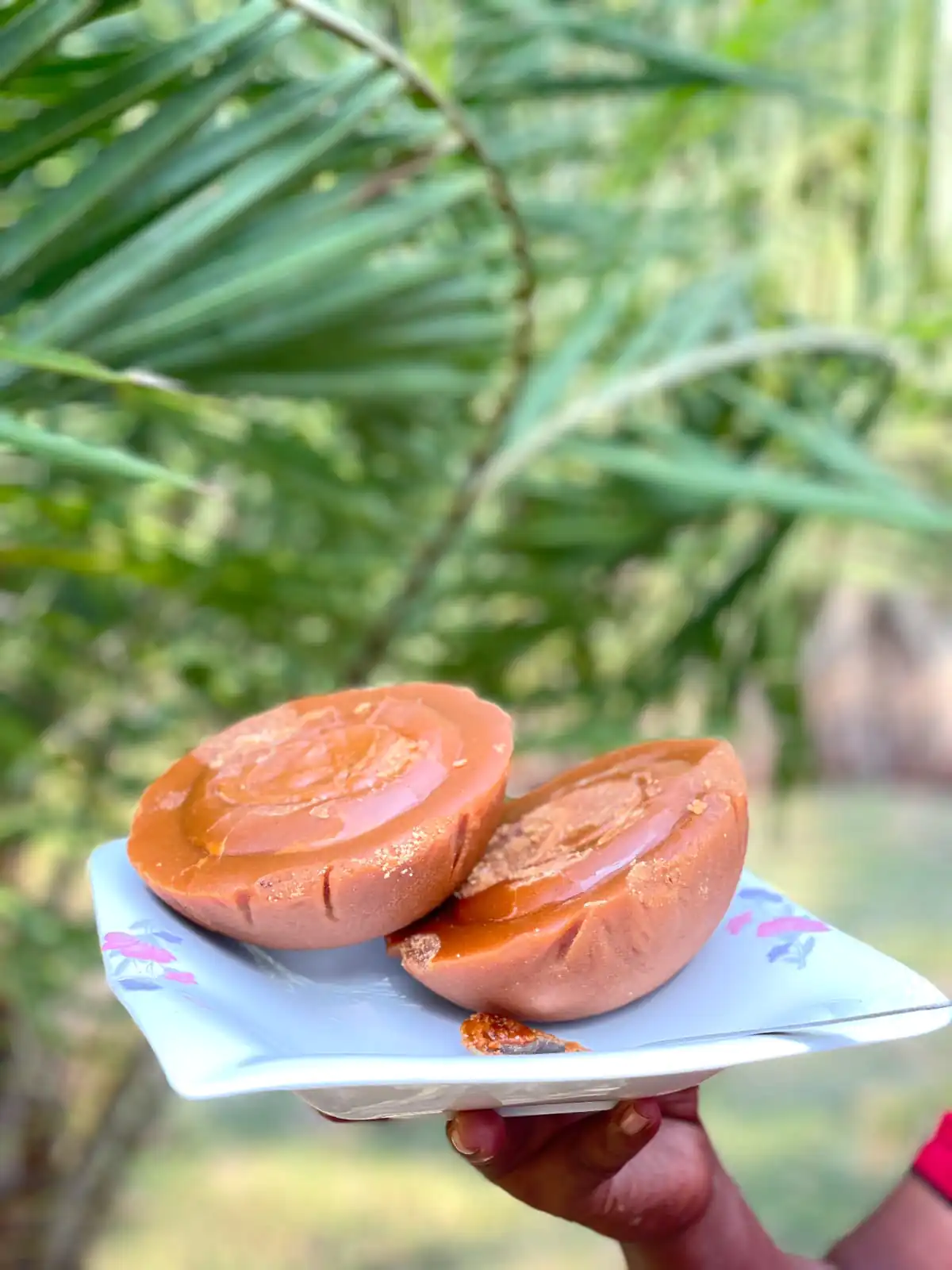 খেজুরের খুরি গুড়